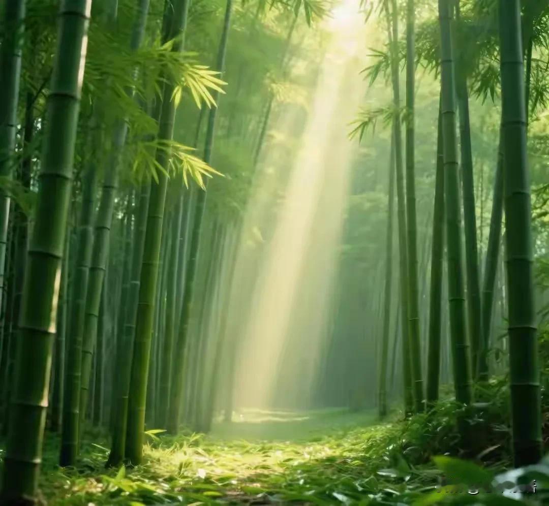 蔡澜说：“什么是低端家庭？你去他们家吃一顿饭就知道了。所谓的低端家庭并不是生活