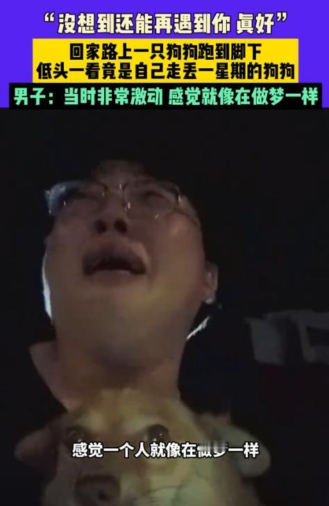 “太有灵性了！”江苏，一男子的宠物狗丢失一周，到处发寻狗启事都没找到，不料半夜下