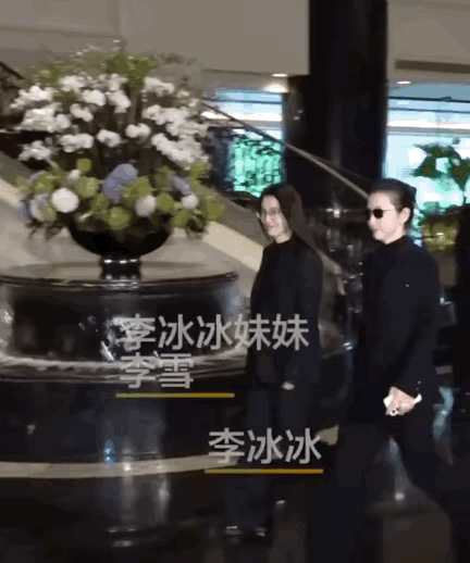 李冰冰的妹妹李雪好漂亮，生了三个孩子，气质不输李冰冰！李冰冰和妹妹李雪一起出席施