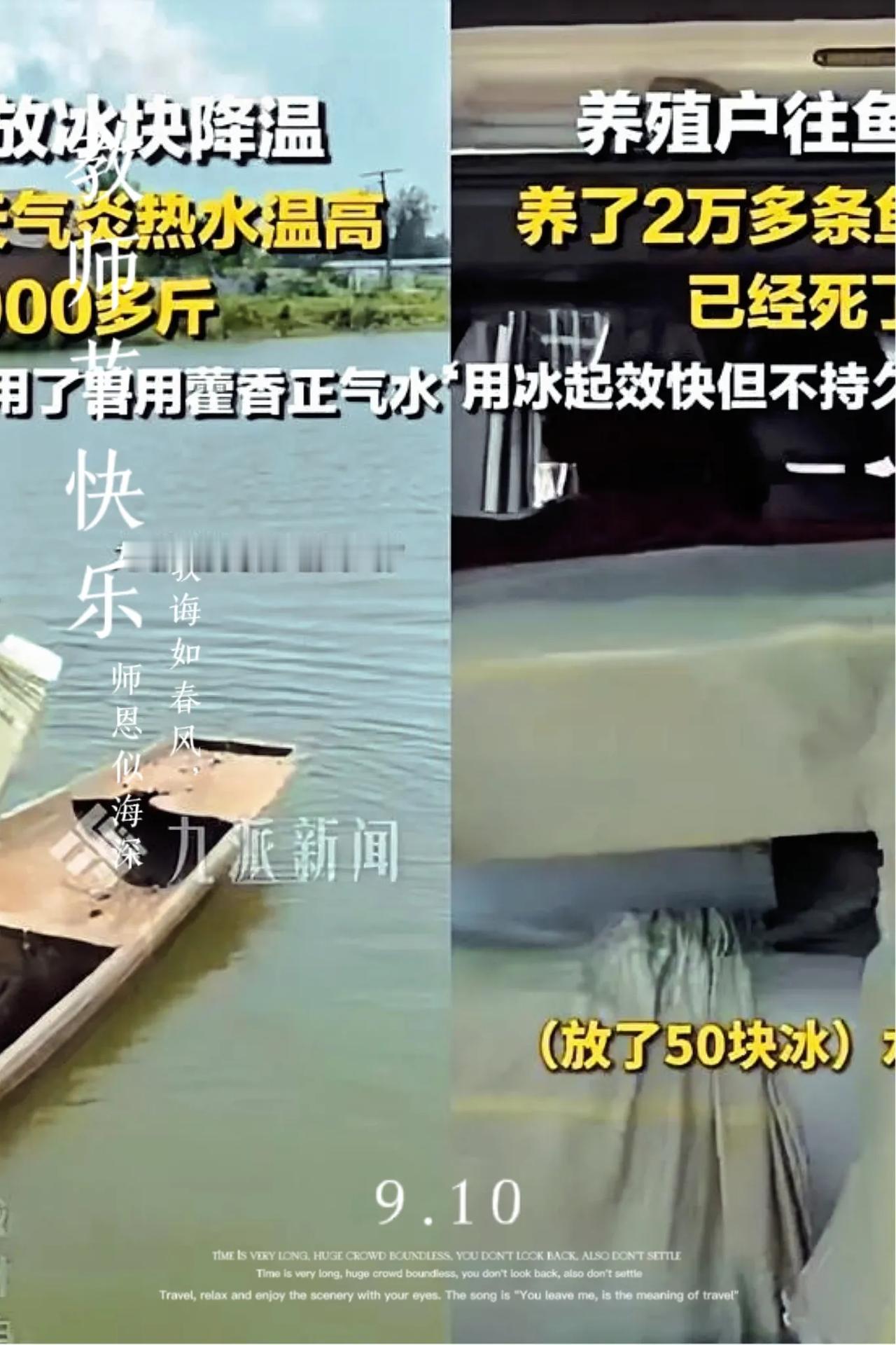 这年头，真得信书里的道理——不然坑随时在脚下等着。就说给鱼塘放冰的大哥吧，