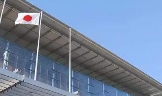 中方越反制，日本人叫得越凶，一位日本经济专家表示，中国“制裁”日本，很有可能会造