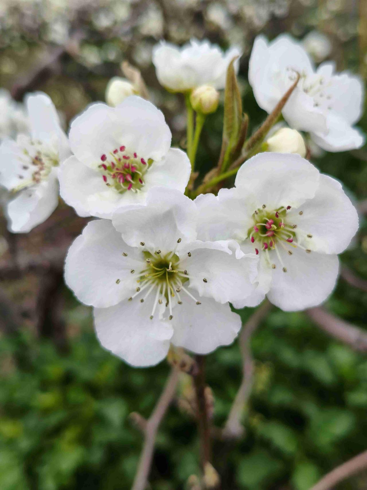 转眼回家五天了，在家24小时陪着老妈，给她做饭洗衣服，老妈却不知道我是她女儿。