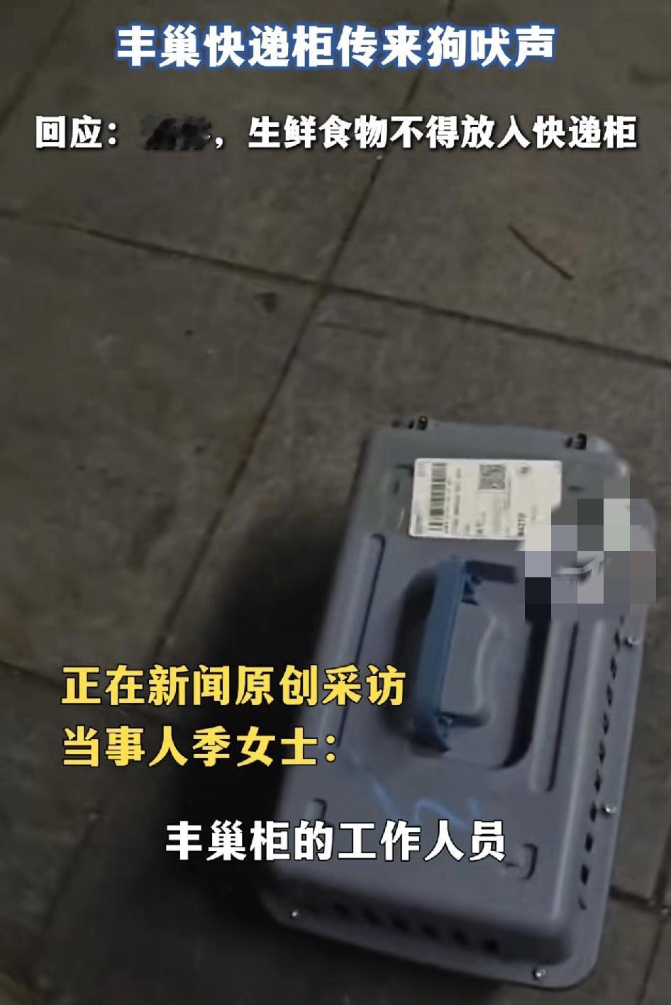 浙江宁波一女子在丰巢快递柜附近，忽然听到有狗叫声传来，于是就打丰巢客服电话，平台