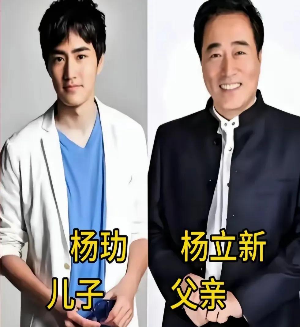 杨立新的儿子很帅气。张志宽的儿子很帅气。侯耀华的儿子很帅气。王志文的儿子很