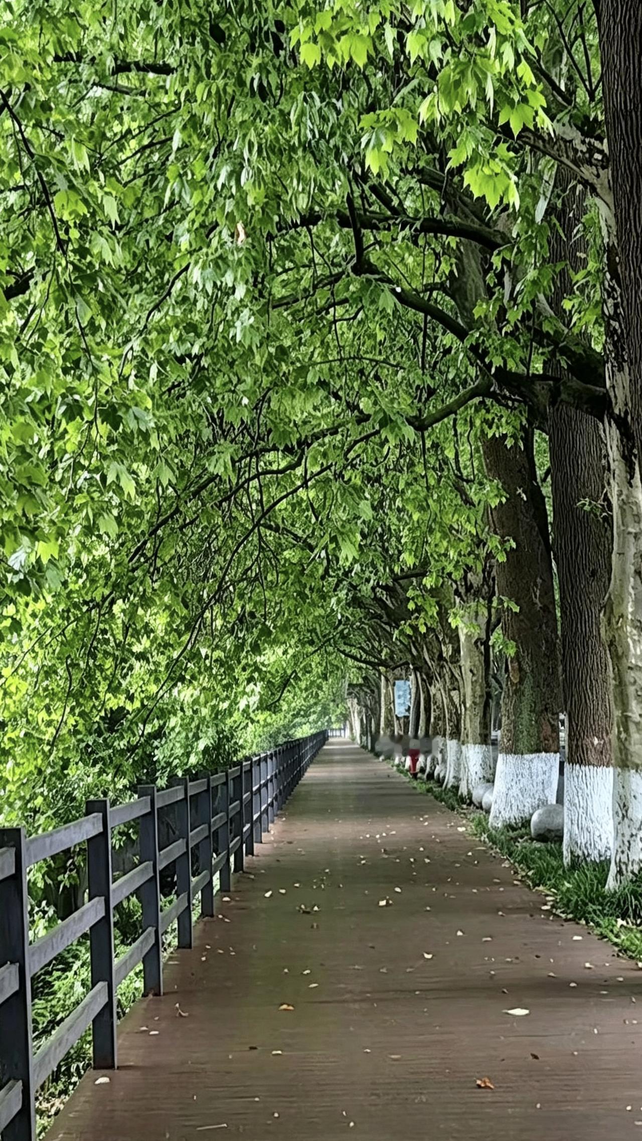 一位情感主播说：“我喜欢你，靠近你，那是我的需求；你不理我，那是你对我没有需求