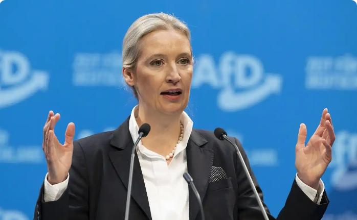 德国这个女人吼了一嗓子，整个欧洲都抖了三抖。 7月18号德国马格德堡的竞选活