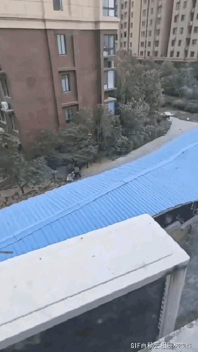 车主：我把车锁棚子柱上肯定丢不了