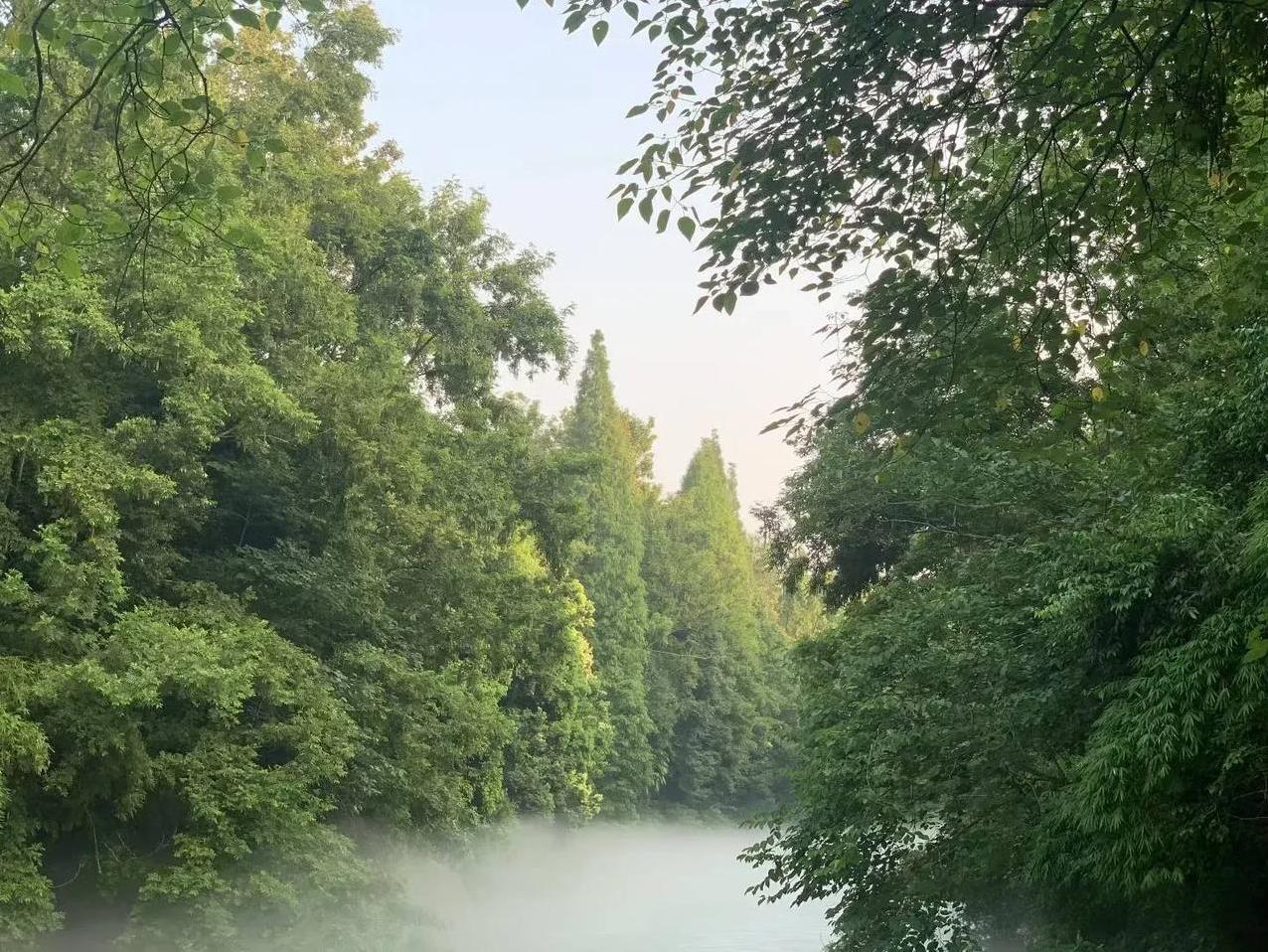 三观混乱，逻辑不清的人是什么感觉呢？会去过度解读，拆解别人说过的每一句话。唯
