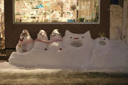 在北海道的可爱瞬间⛄️