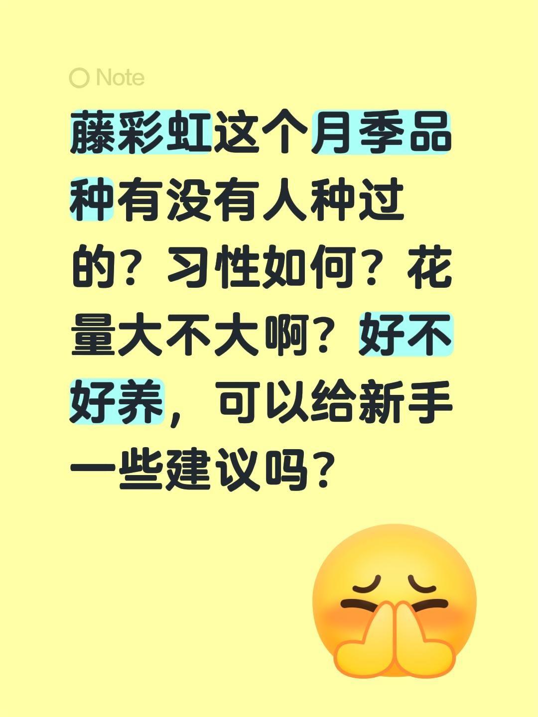藤彩虹好不好养啊？藤彩虹这个月季品种有没有人种过的？习性如何？花量大不大啊？好不
