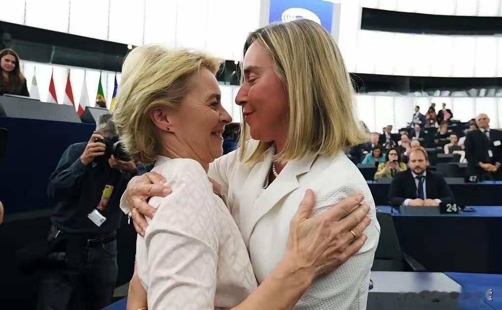 路透社：比利时警方昨天逮捕了欧盟委员会前副主席、前外长、现任欧洲外交学院院长费戴