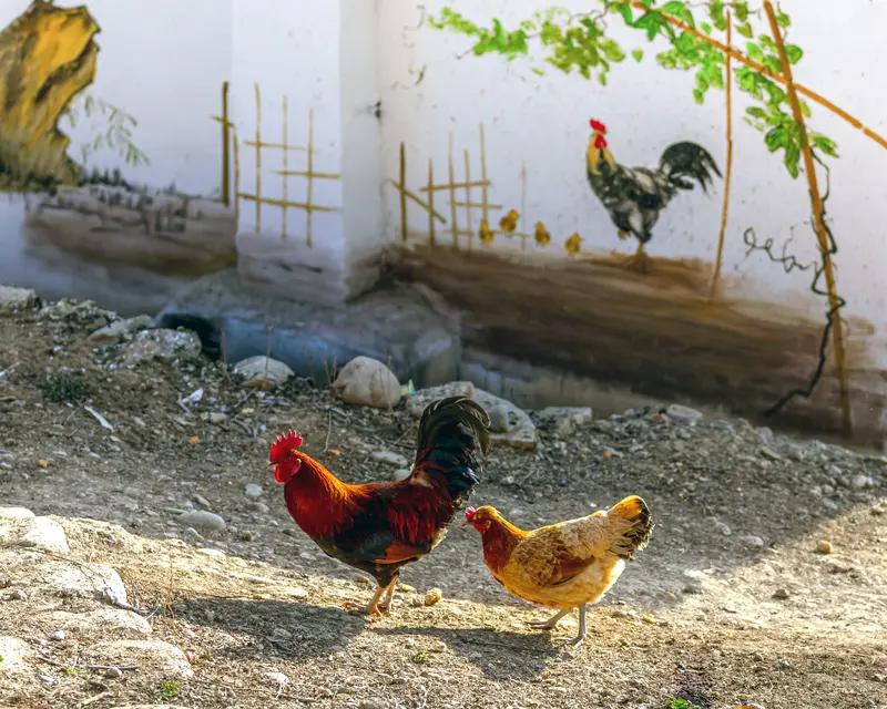 如何看待河南吴营村因墙画爆火河南商丘闫集镇吴营村因一幅18米长的“天安门”墙画