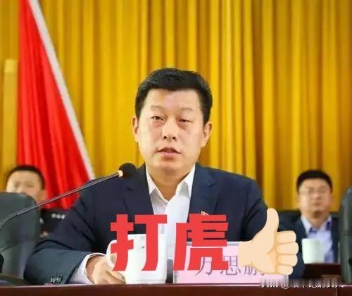 5月15日，青岛反腐❗厅官“万思鹏”被查了，于是看了一下他的工作履历，53岁的