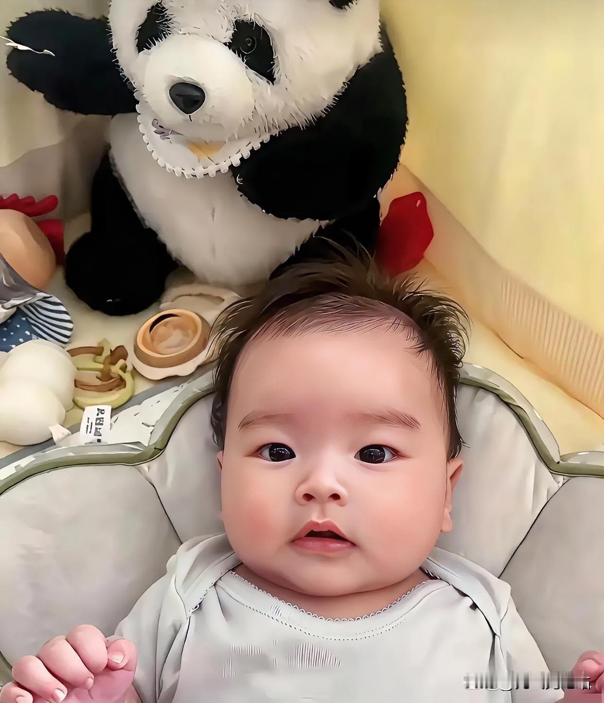 昨天马筱梅直播间说汪宝儿自己挣奶粉钱，给我整懵了，这么小的孩子咋赚钱啊？想想