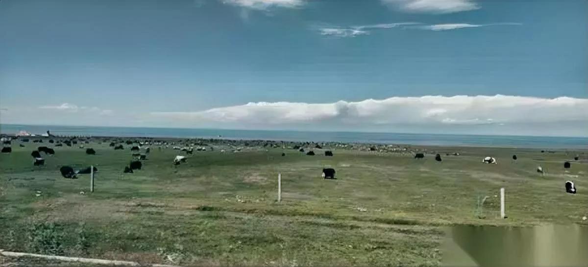 说个丢人的事儿——我拿驾照18年至今没摸过方向盘!不是不想开,是当年