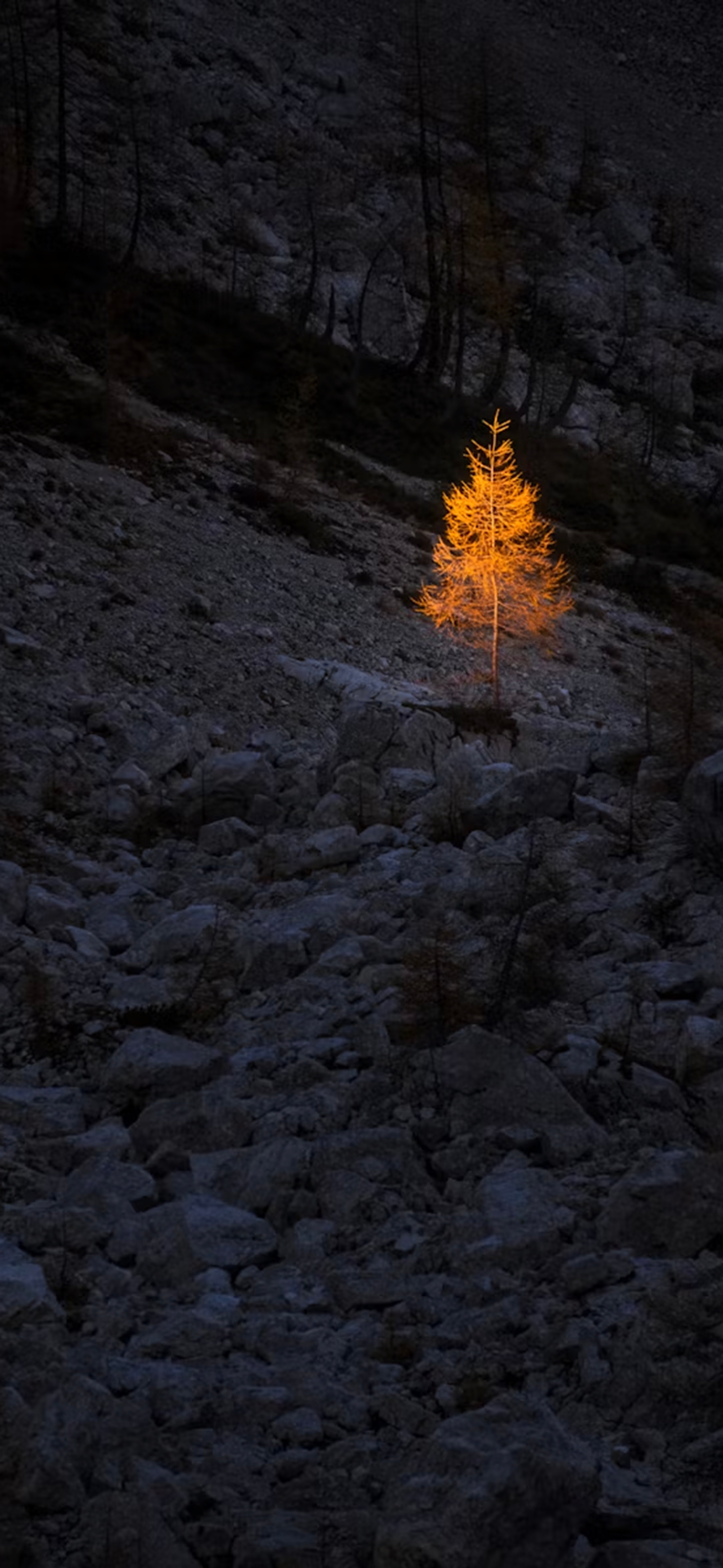 莱分享今日iPhone壁纸分享