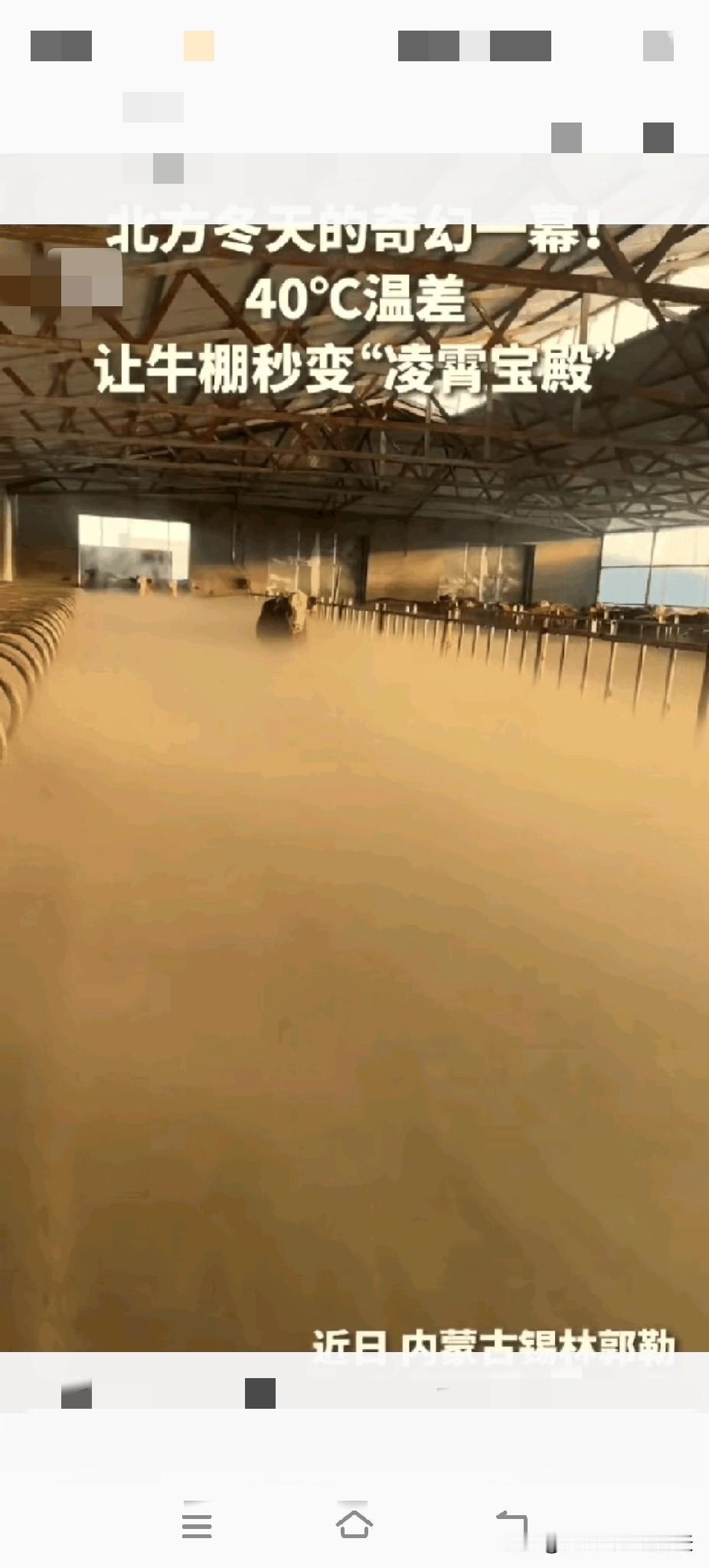 没想到上人民日报了！内蒙古，女子清早起来去牛棚喂牛，不料一推开门直接傻眼了，棚子