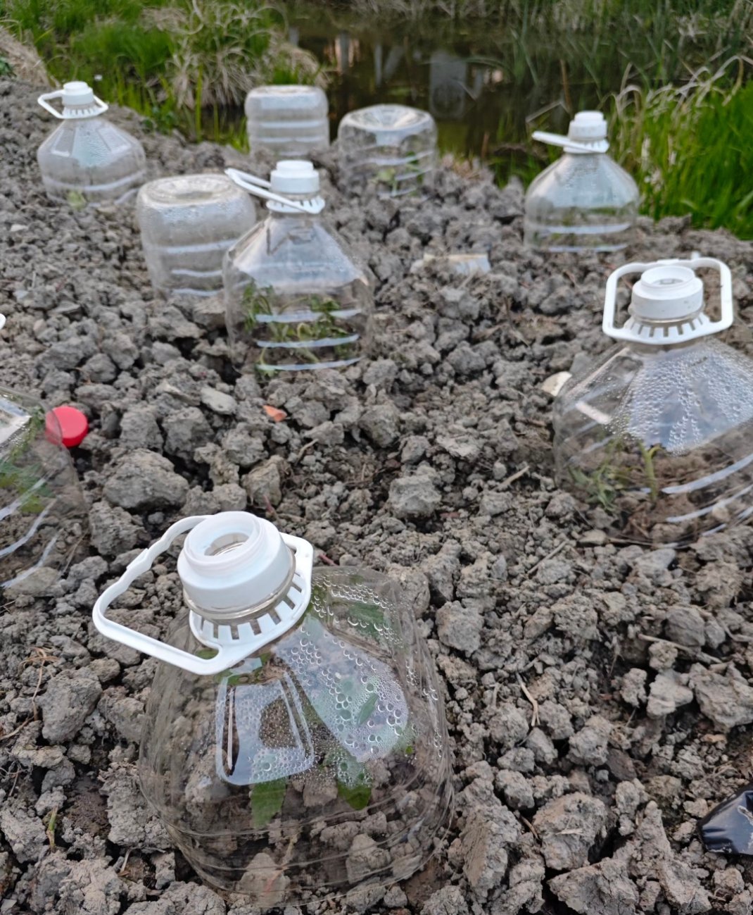 路过菜地，这是什么神操作？