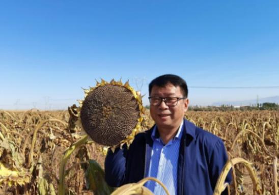 我国工程界大乌龙事件！2009年，重庆大学教授易志坚在研究物质力学时，意外发现了