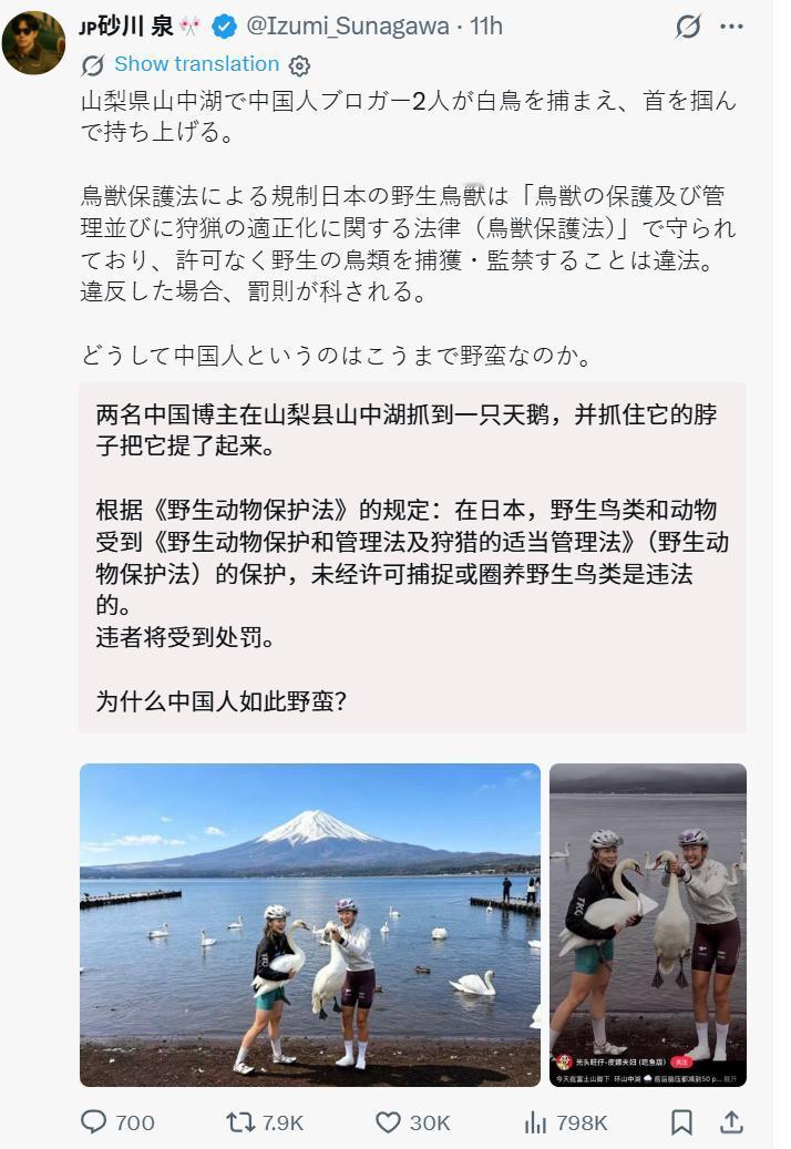 真的假的？日媒说我国两女性在日本抓天鹅