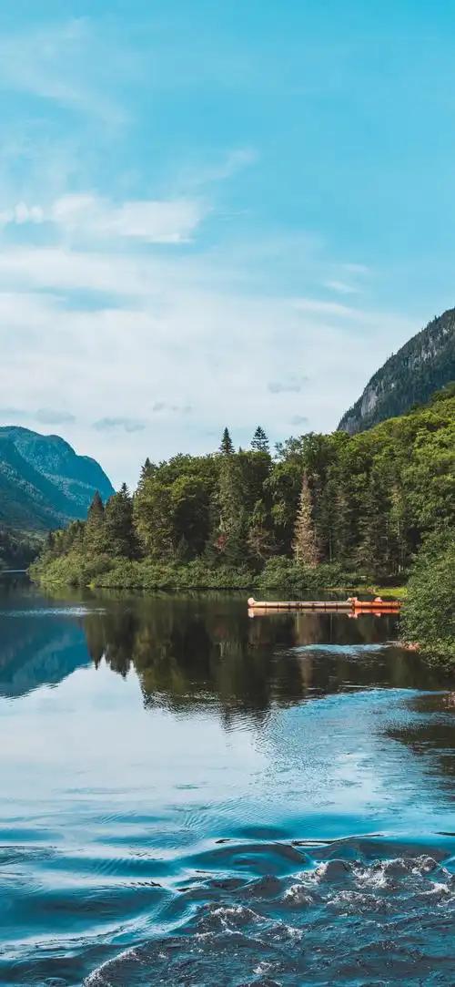 大彻大悟的一段话：“下等的孝顺，是给钱；中等的孝顺，是给脸；顶级的孝顺，是