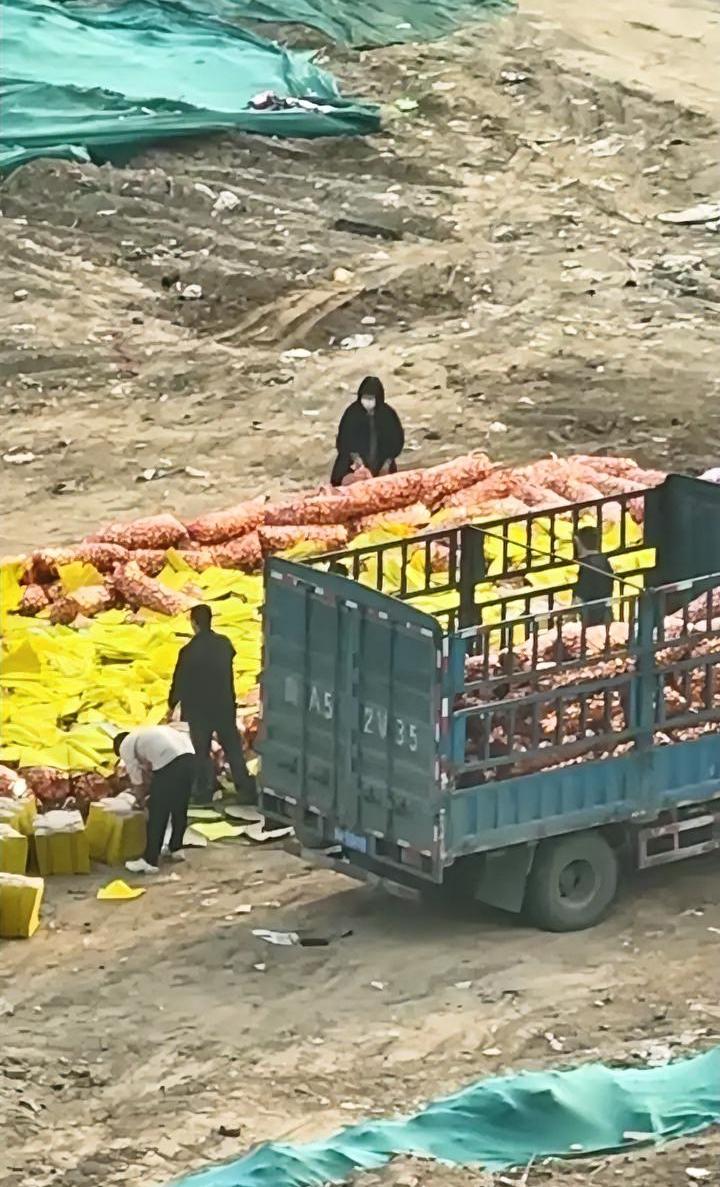 “元宝围墙黄纸铺地”，科学的尽头真是玄学，我们上坟烧纸都是小打小闹，看一下楼盘开