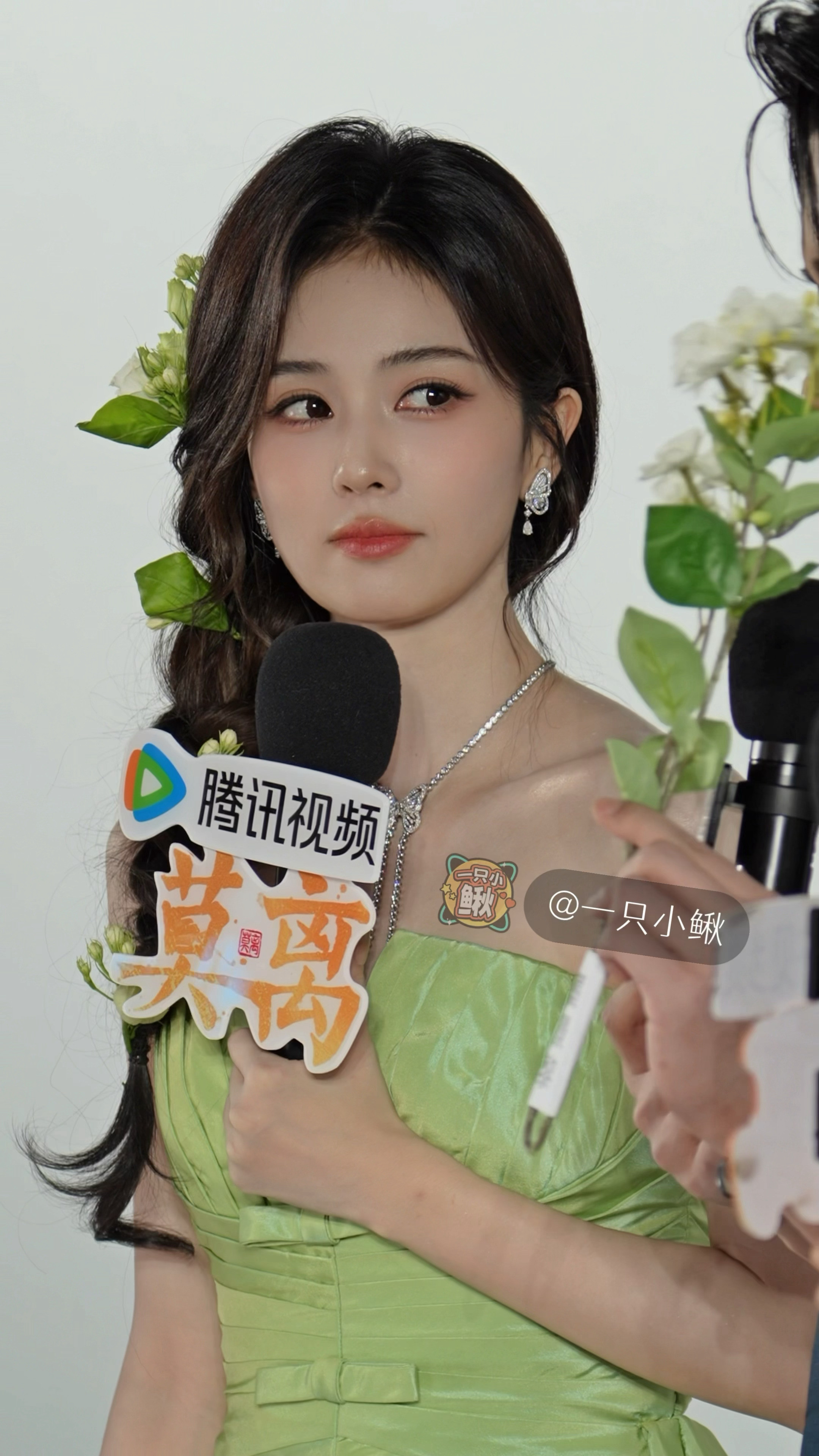 白鹿追剧团live图白鹿