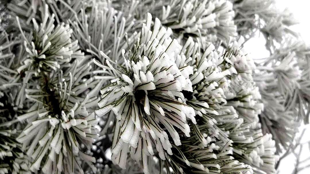 你还在染发？先停下。一份整合了96项研究的最新报告警告：频繁使用永久性染发剂，特