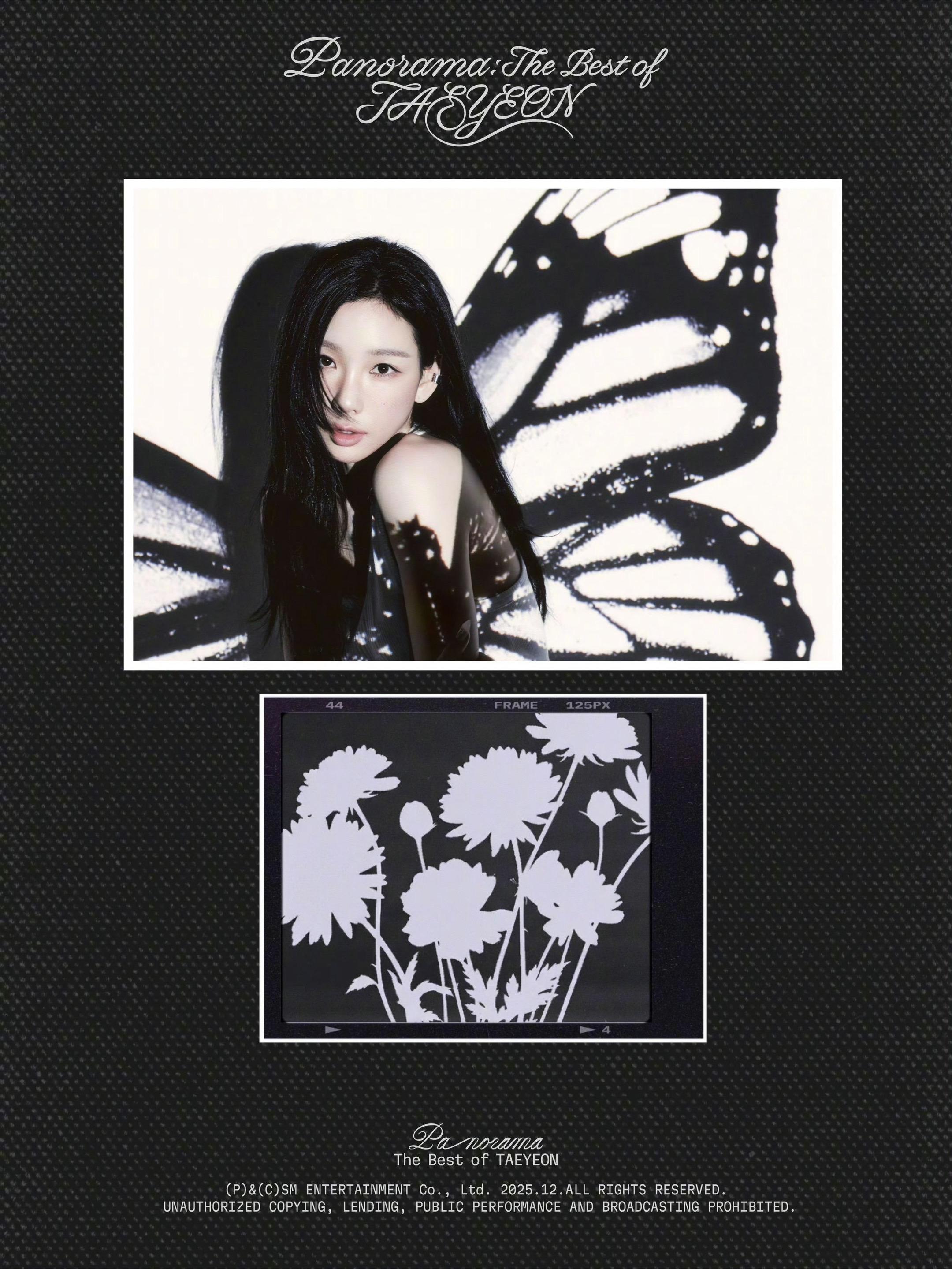 十周年精选集预告照🦋将于12月1日发行💜