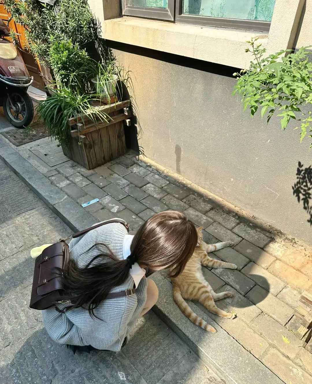 网友：在街上遇到小猫蹲下来和它玩了一会儿！