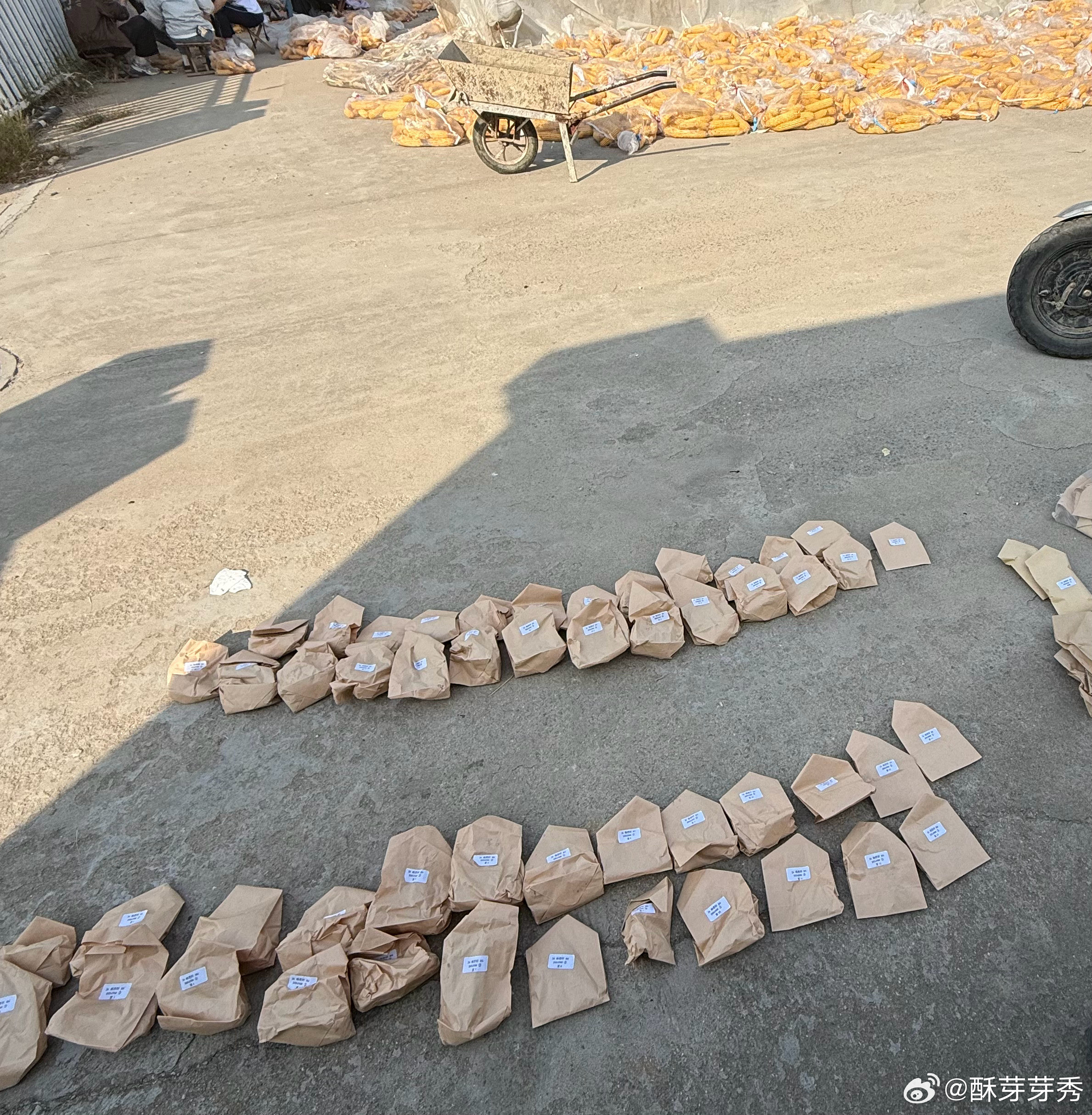 累晕[单身狗]​​​