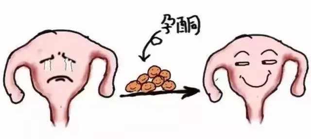 赴美妈咪帮: 对美国试管婴儿而言, 孕酮的作用