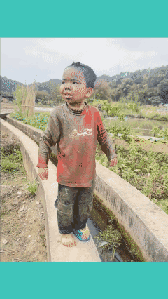 摔蒙圈了，找不到回家的路了！