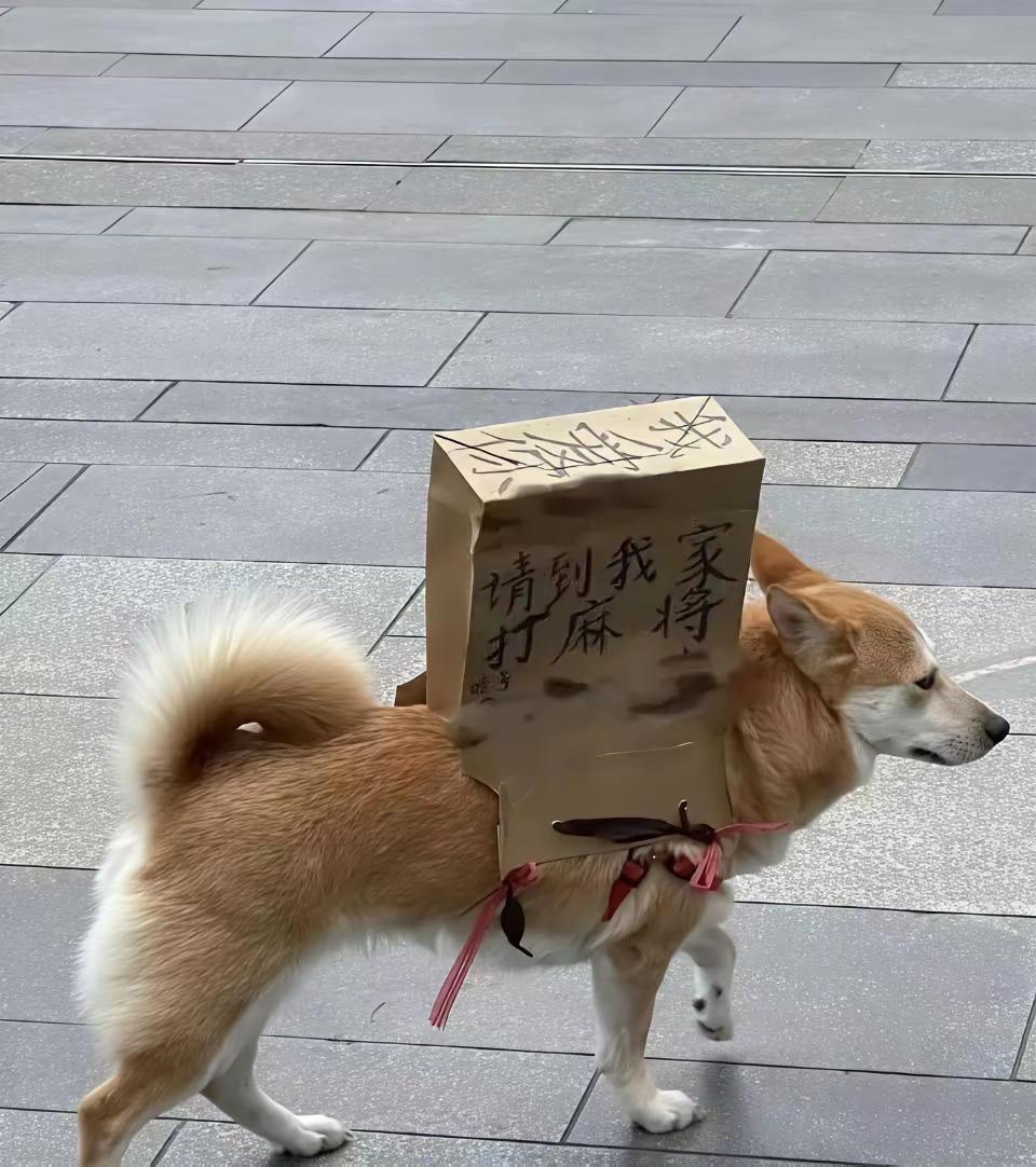 这年头，没有一个容易的[捂脸哭]