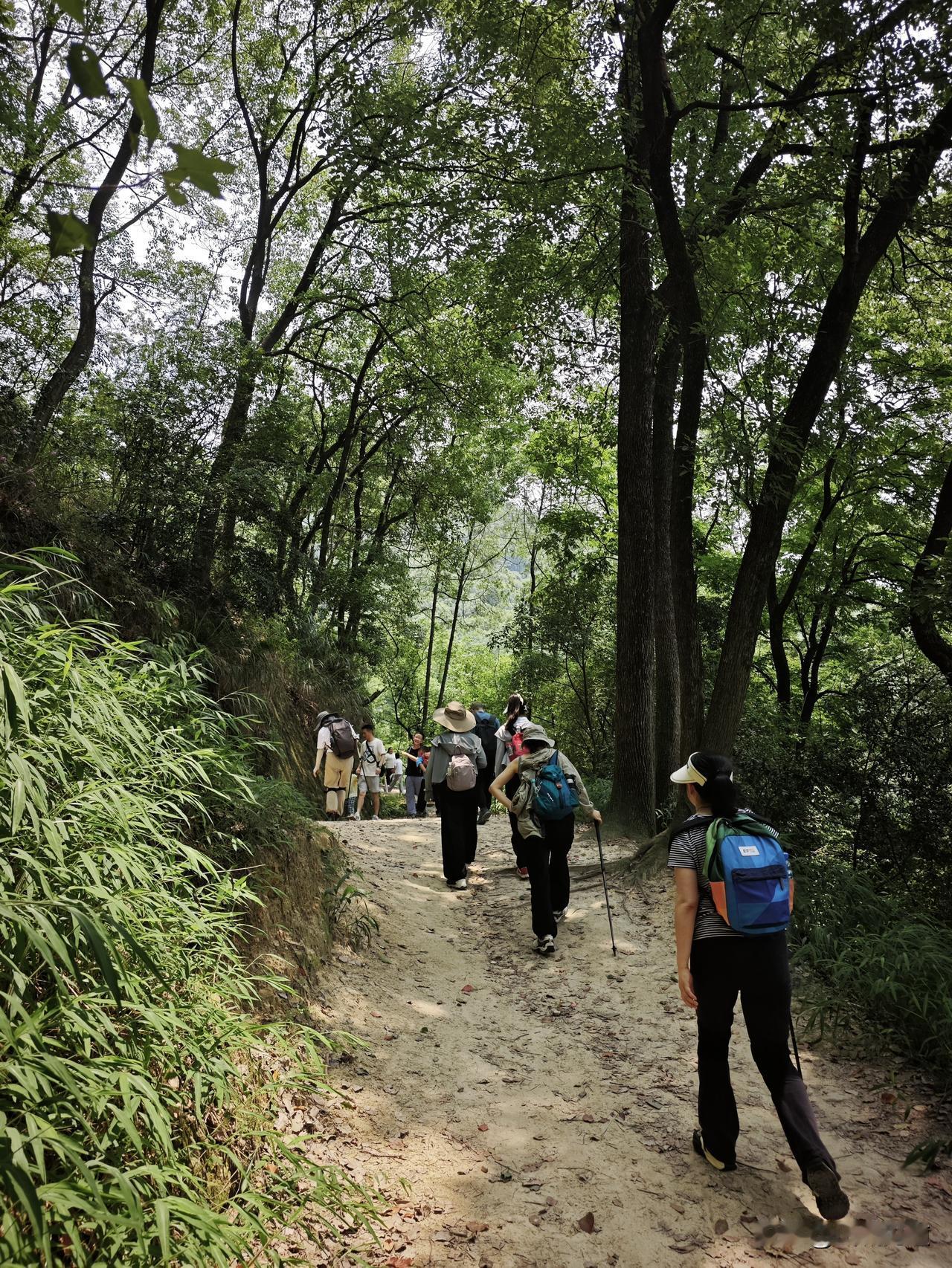 周末爬山，重庆南山乱逛轨道仁济（2口）起，凉水井步道上山，经黄山抗战遗址后门，