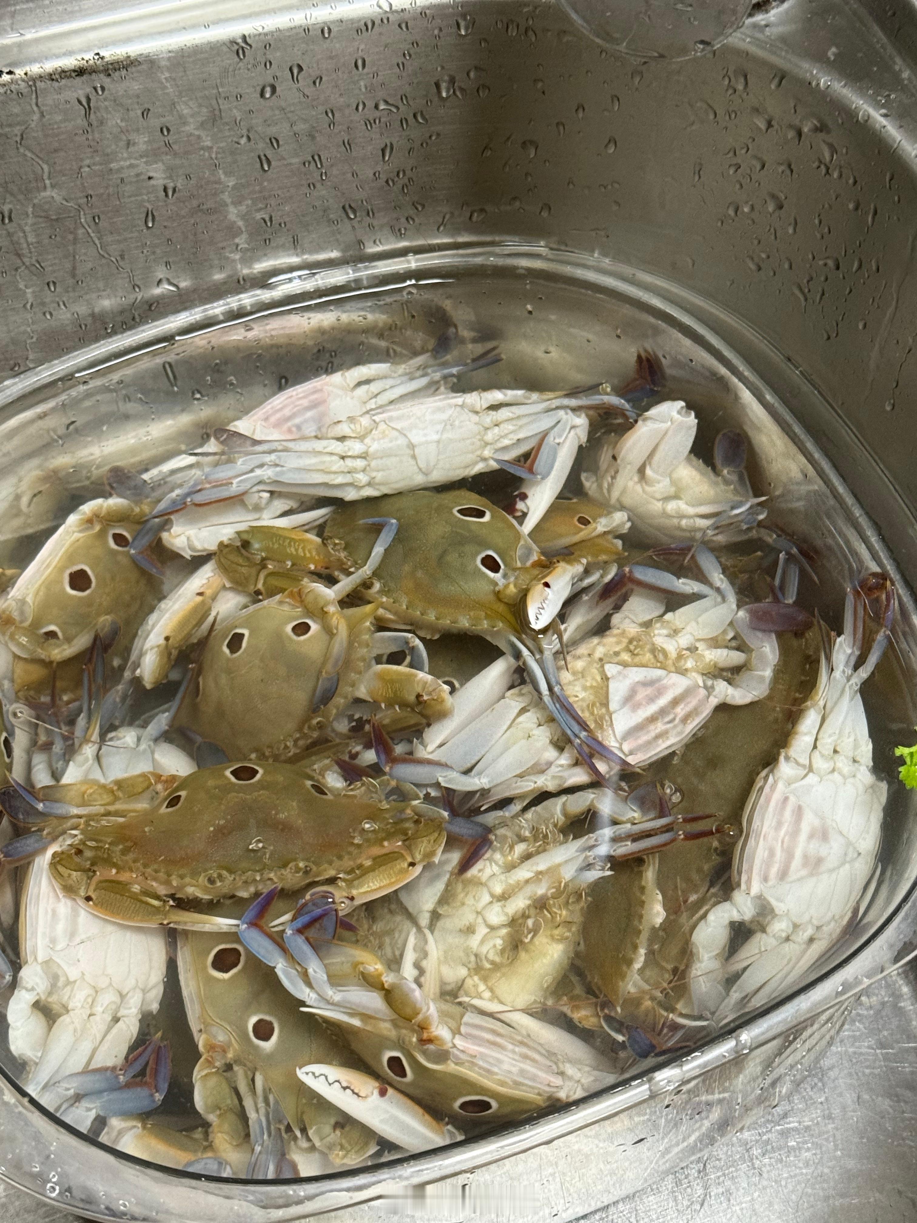 没有人能逃过生腌蟹和番薯粥的魅力家人腌制的蟹看起来食欲满满还好我已经吃习惯了，不
