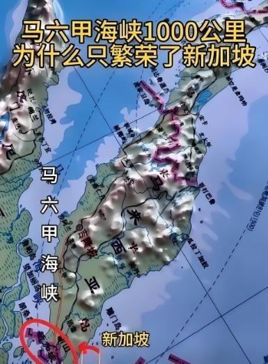 新加坡《联合早报》曾经在文章中指出：过去10年里，中国先是称“太平洋足够大，容得