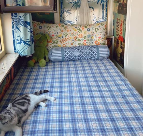 朋友老张家那个阳台，上个月刚敲掉重新装了！我问他为啥折腾，他苦着脸说：“别提了