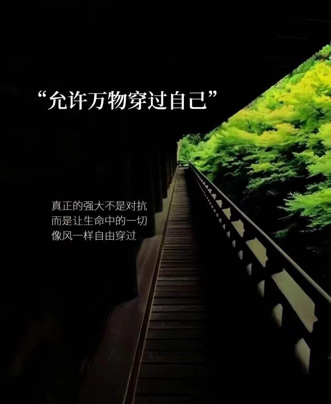 把注意力放在体验感而非结果上，人真的会慢慢地松弛下来，不要觉得没到终点就一无所获