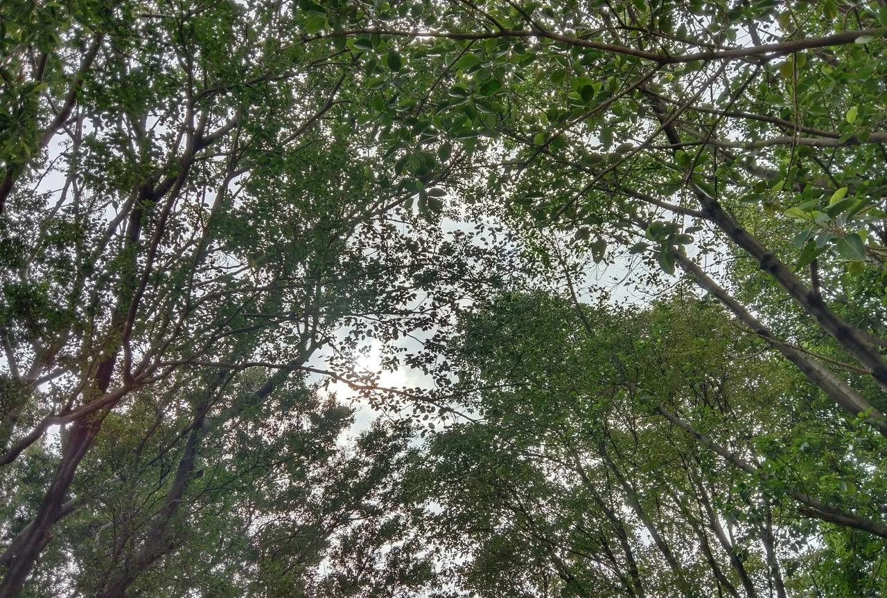 60年的老朱没有社保，但他在东莞有栋100套房子的大楼，有保密的存款和八套广州的