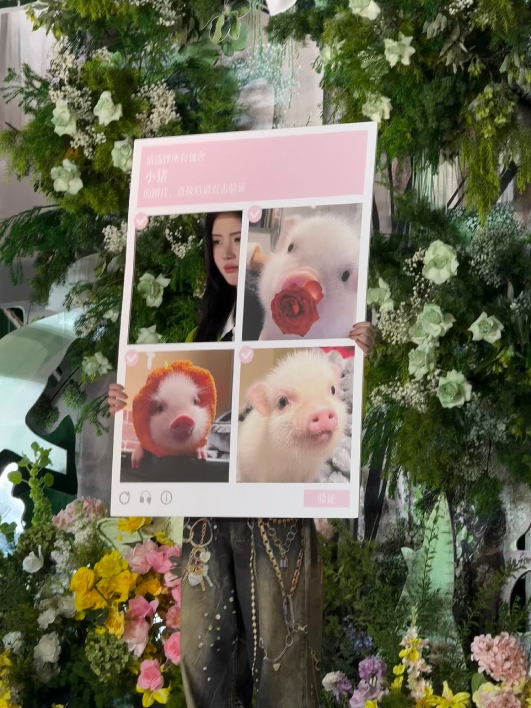 鞠婧祎被猪塑了🐷猪塑一统天下，千秋万代
