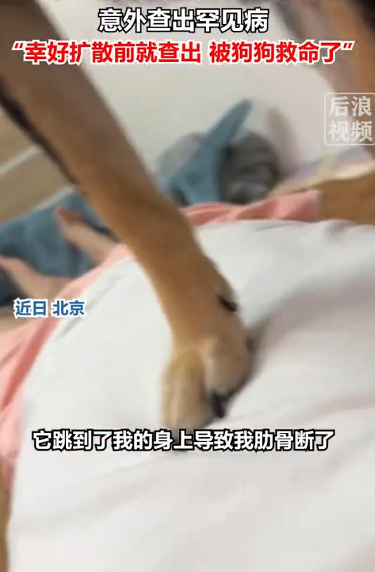 “世事难预料！”湖北武汉25岁女子在家与宠物狗嬉闹时，狗狗猛然扑跳踩断她多根肋骨