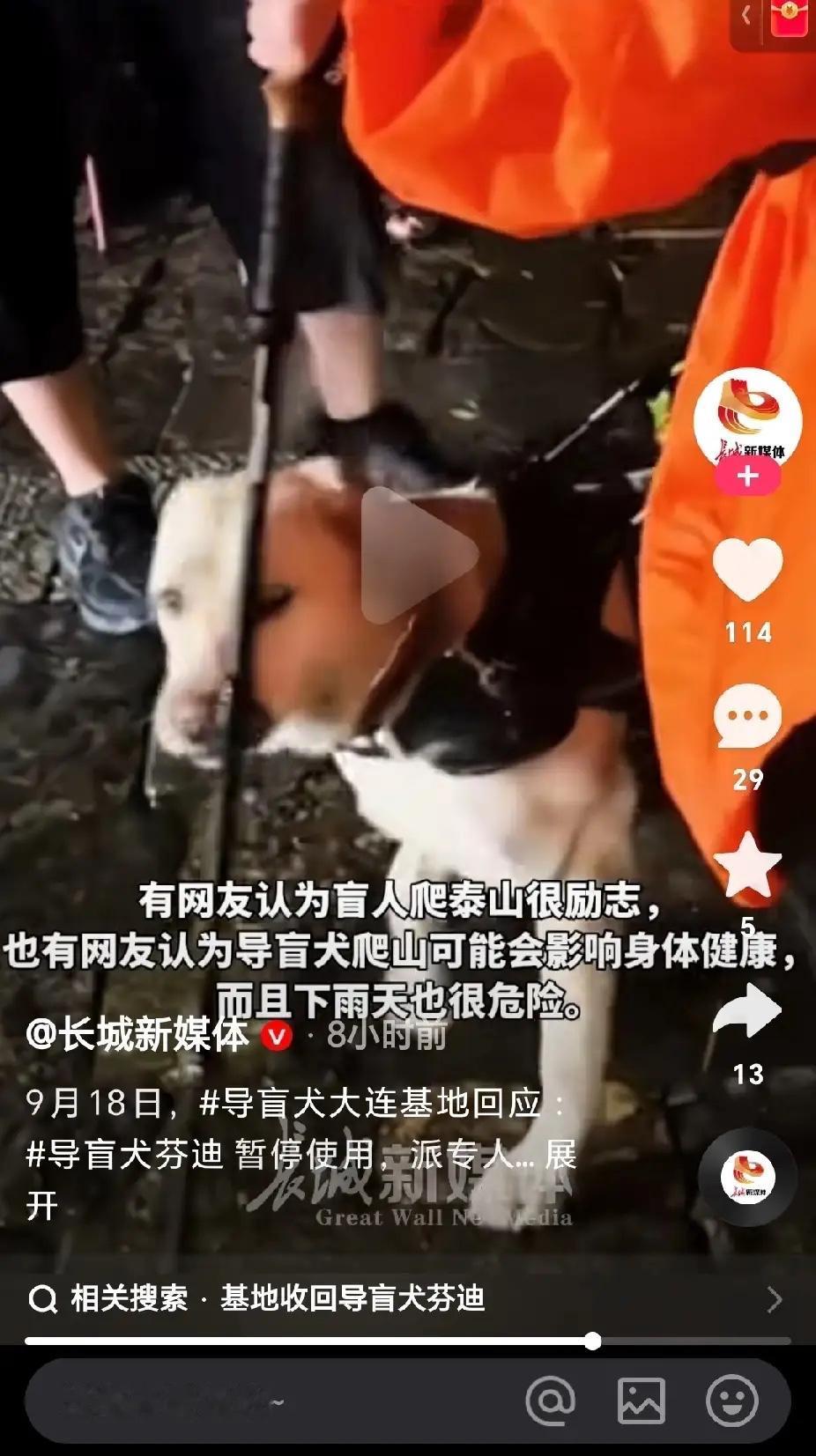 冒雨爬山还用盲杖打导盲犬芬迪！后续来了，大连市残联发来消息称：导盲犬基地接回
