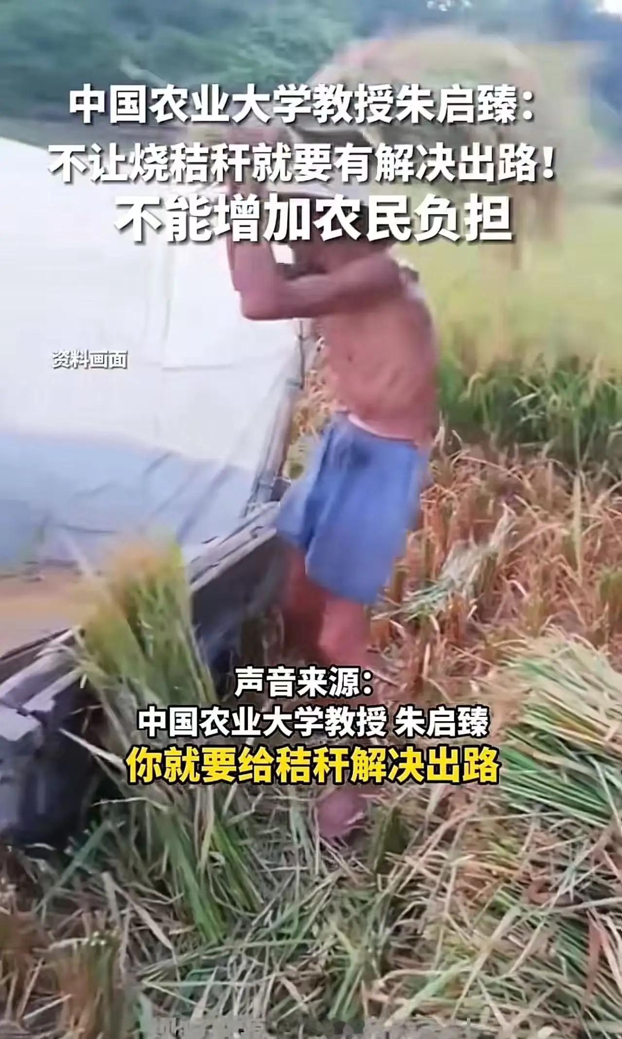 这段话充分展现了朱启臻教授作为一位心系百姓、敢于直言的专家的责任感和担当。他强调
