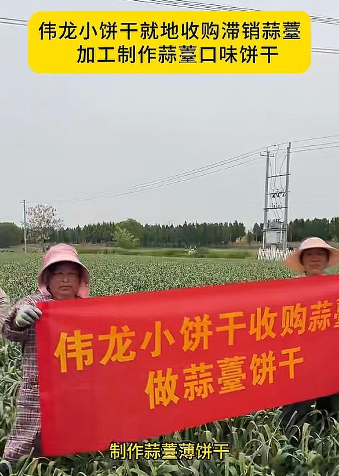 蒜薹饼干真让伟龙做出来了，这会是啥味，还记得去年的豆橛子月饼