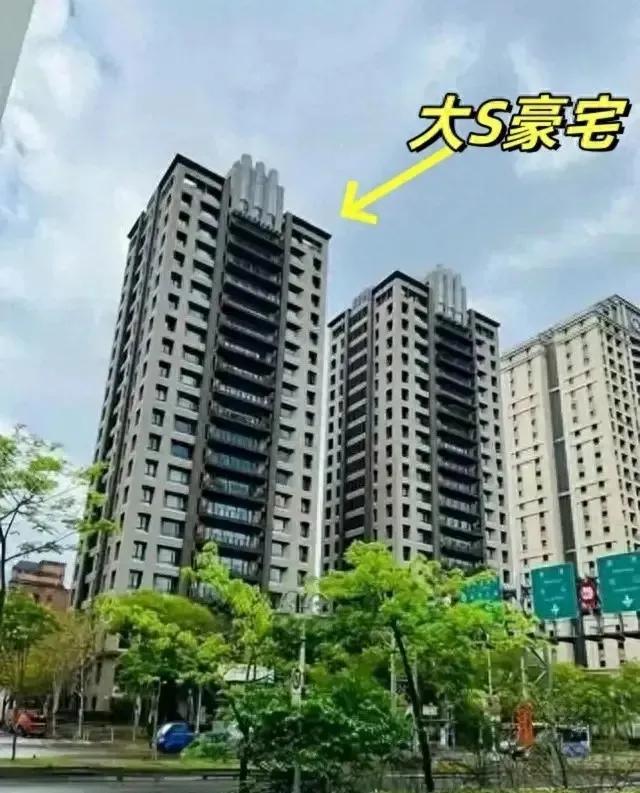 大s才走几个月，信义区的豪宅就断供要法拍了，大s妈现在着急到不行，因为之前房子首