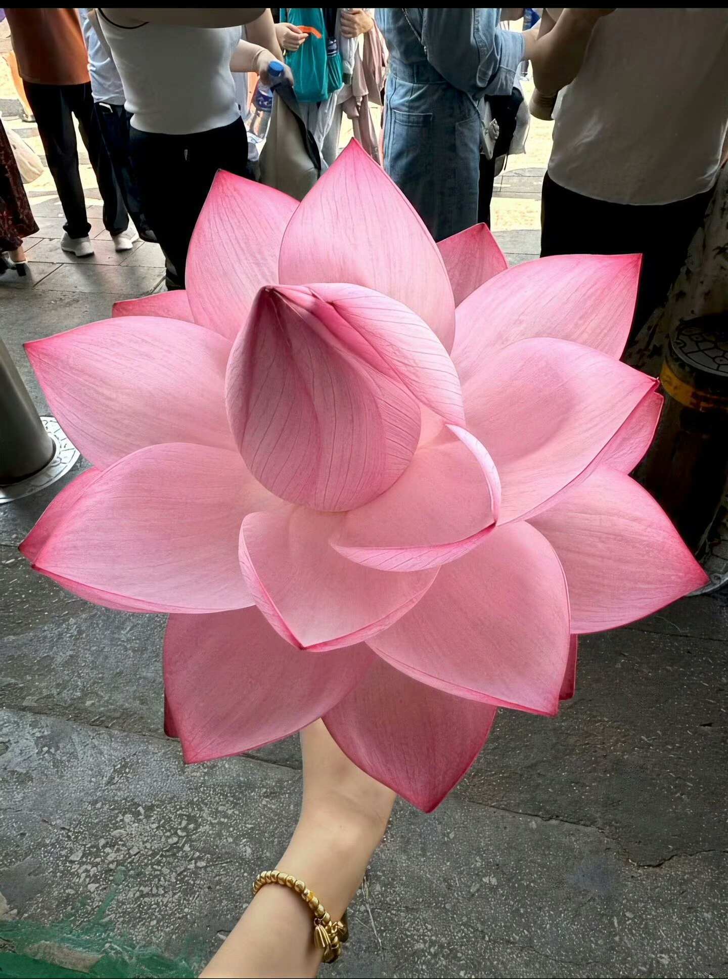 果然世界是一个巨大的建模