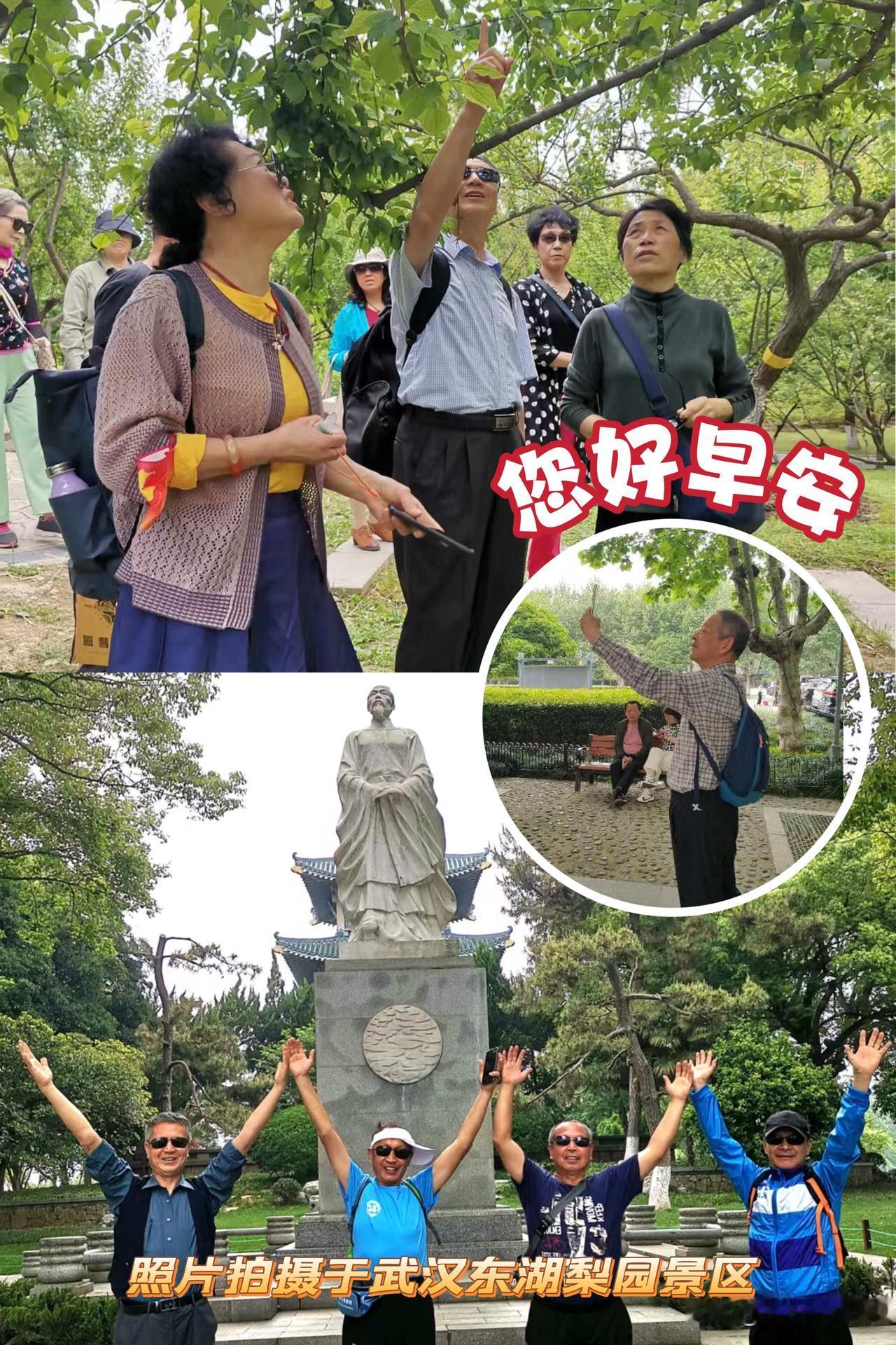大家早上好！（照片拍摄于武汉东湖梨园景区，原创作品）！🍎🇨🇳🍎梨园宛如