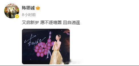 佟丽娅陈思诚内娱离婚模板佟丽娅白月光前妻哇塞，佟丽娅和陈思诚这也是内娱离婚模板