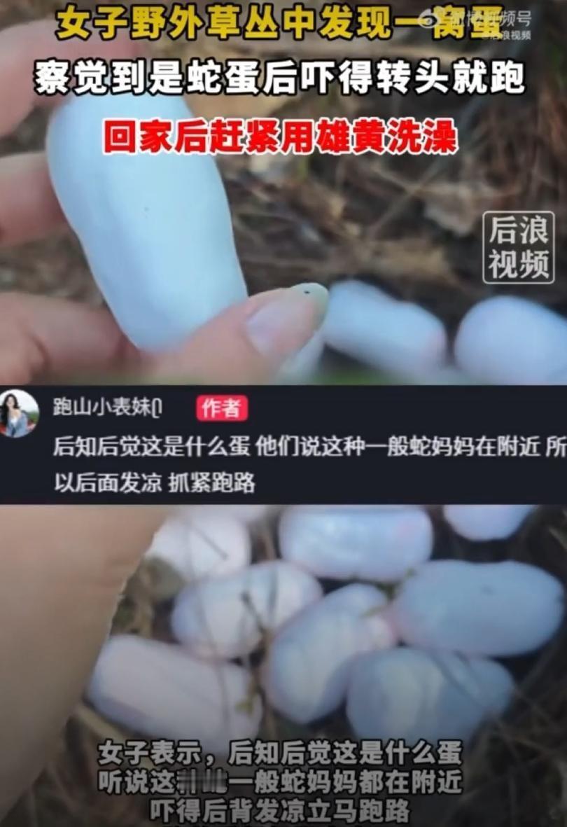 5月6日，浙江一名女子趁假期到户外爬山，累了正想休息时，偶然看到草丛里有一窝惹眼